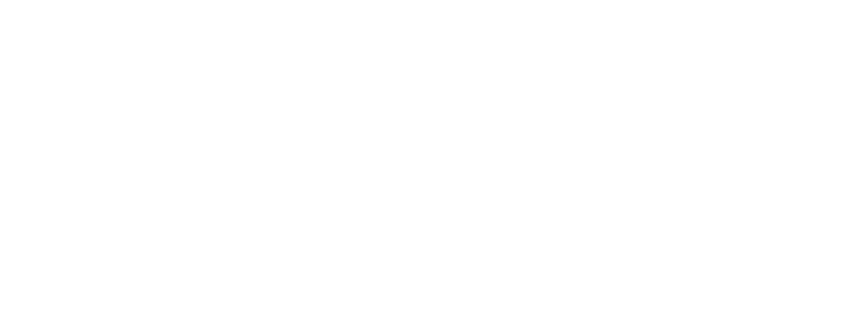 independent programme assurance