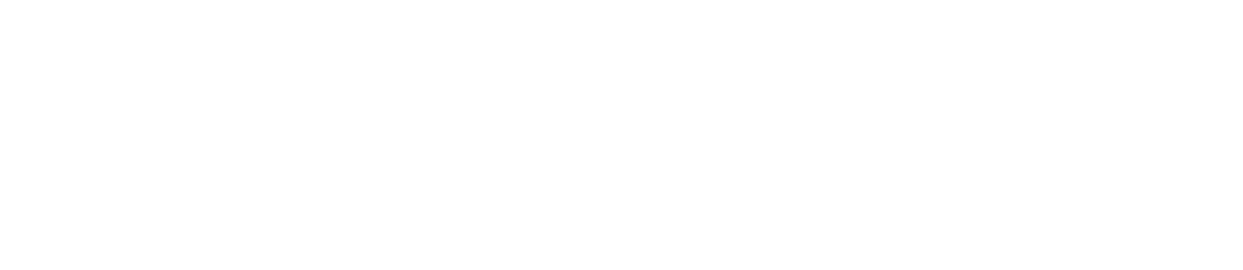 independent project assurance