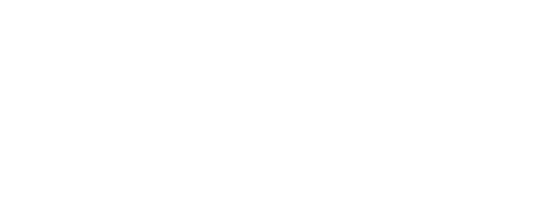 independent project assurance