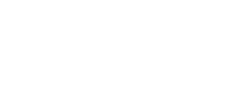 independent programme assurance